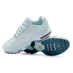 Nike Air Max Plus White