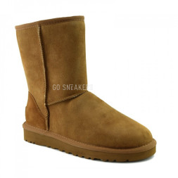 Men&#039;s Classic Short II Chestnut